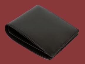 dummy wallet